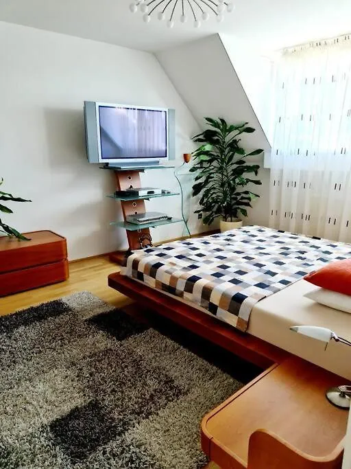 Luxury 4 Bedroom Roof Apt With 3 Balconies & View Vienna Apartment